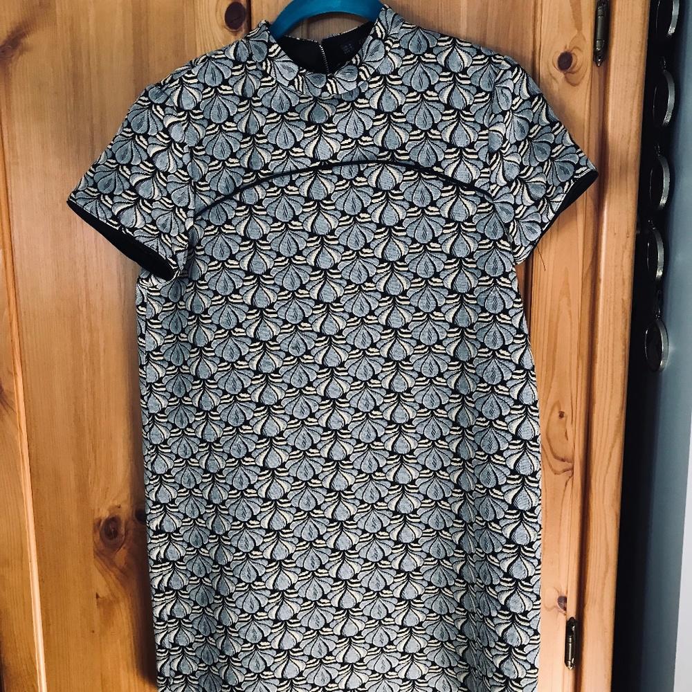 Zara dress